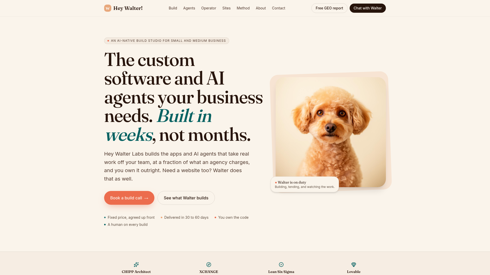 Screenshot of Hey Walter Labs homepage